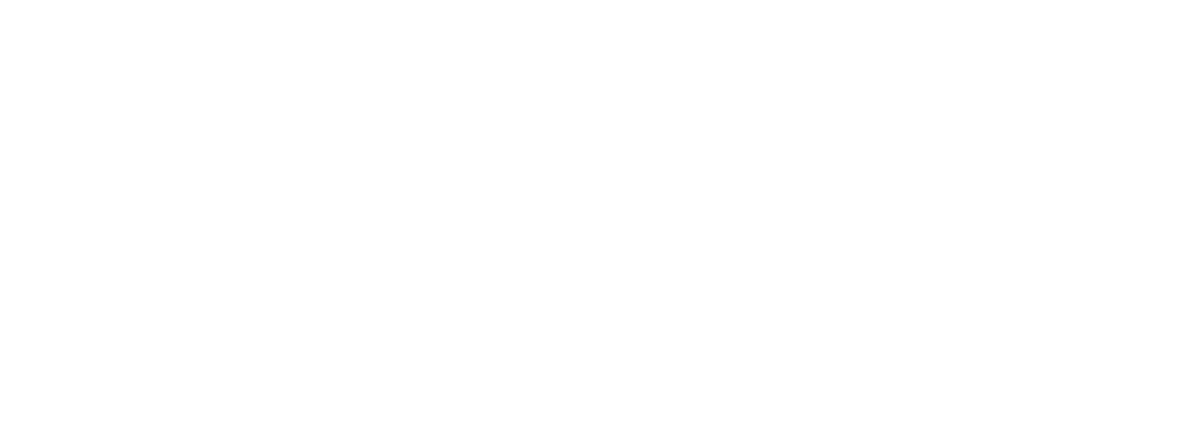 logo Alvaro Alarcon